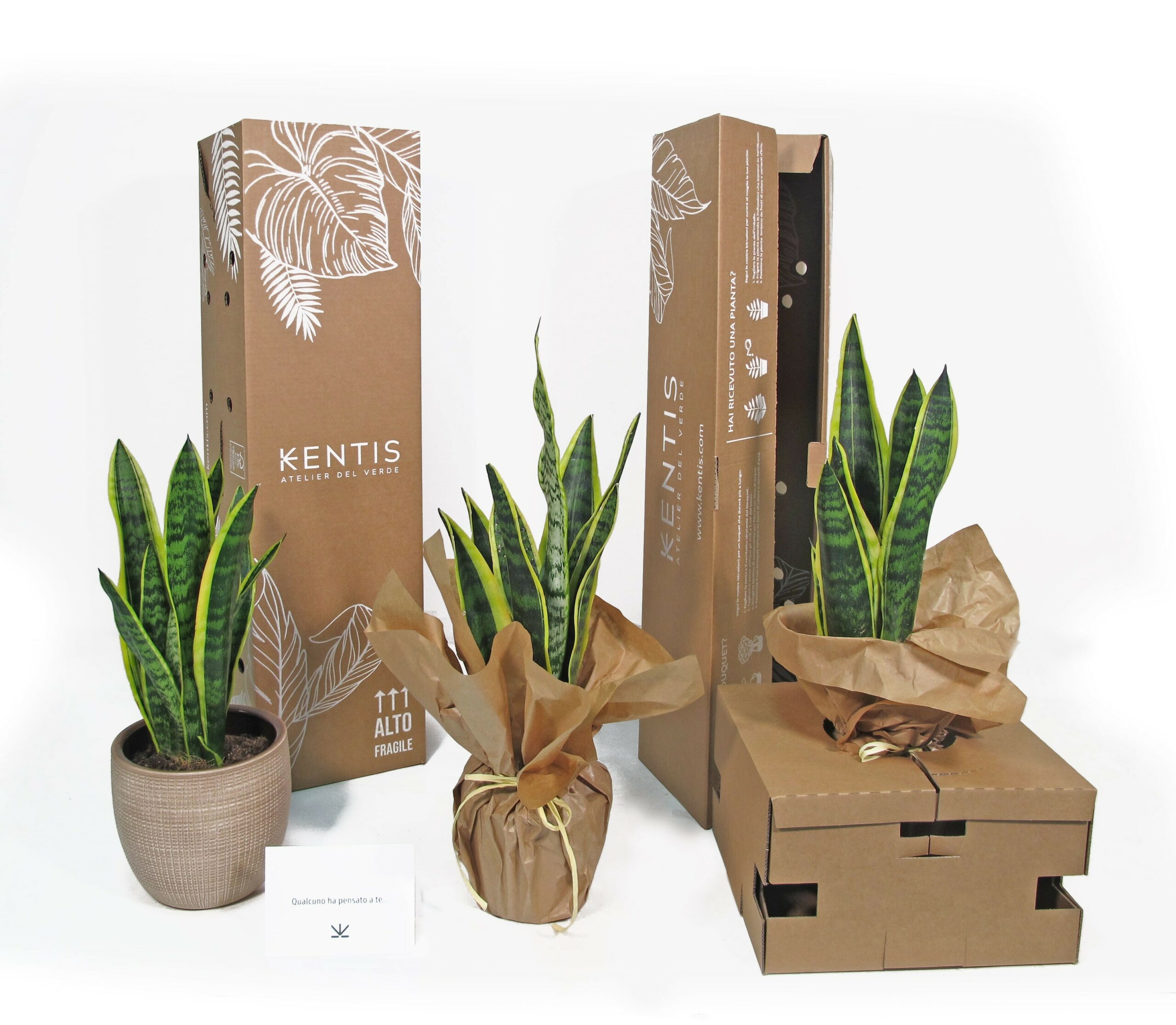 Packaging