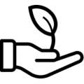 manofoglia