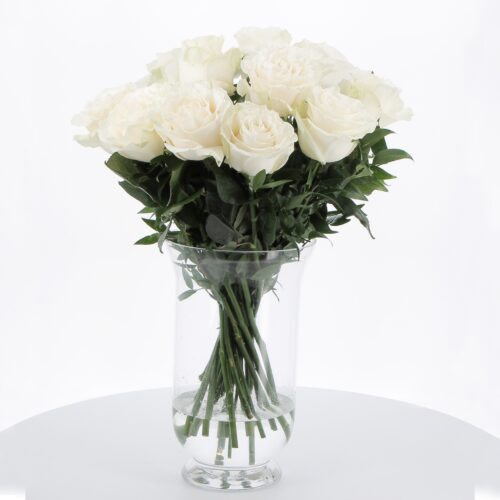 Rose bianche