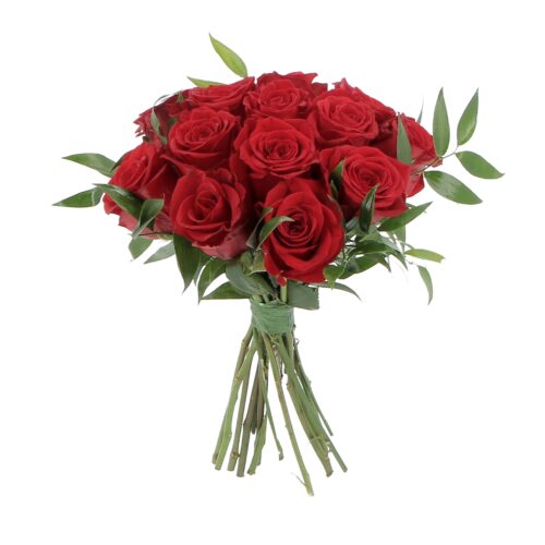 Rose Rosse