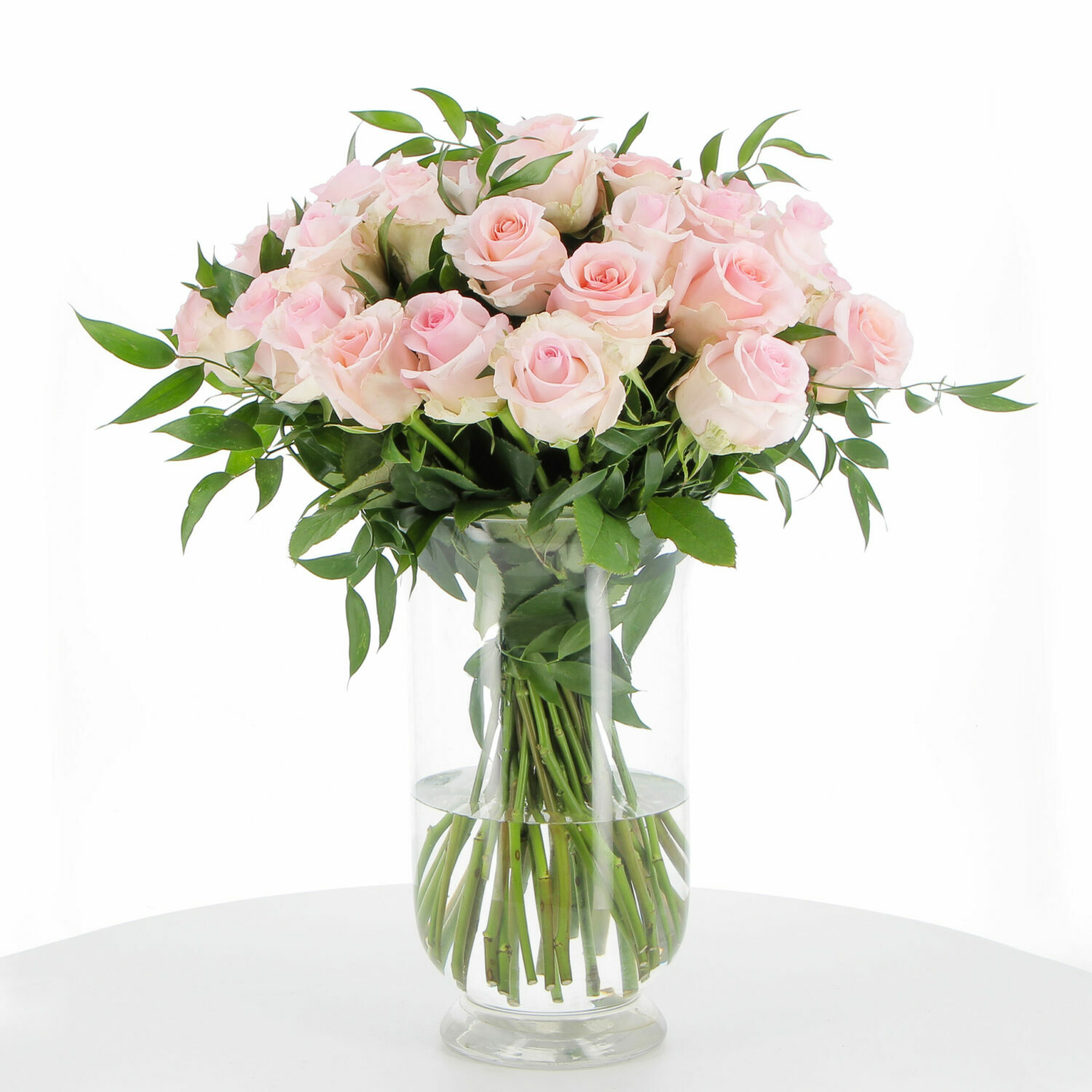 PTG-36-Rose-equador-rosa-50-cm-frontale