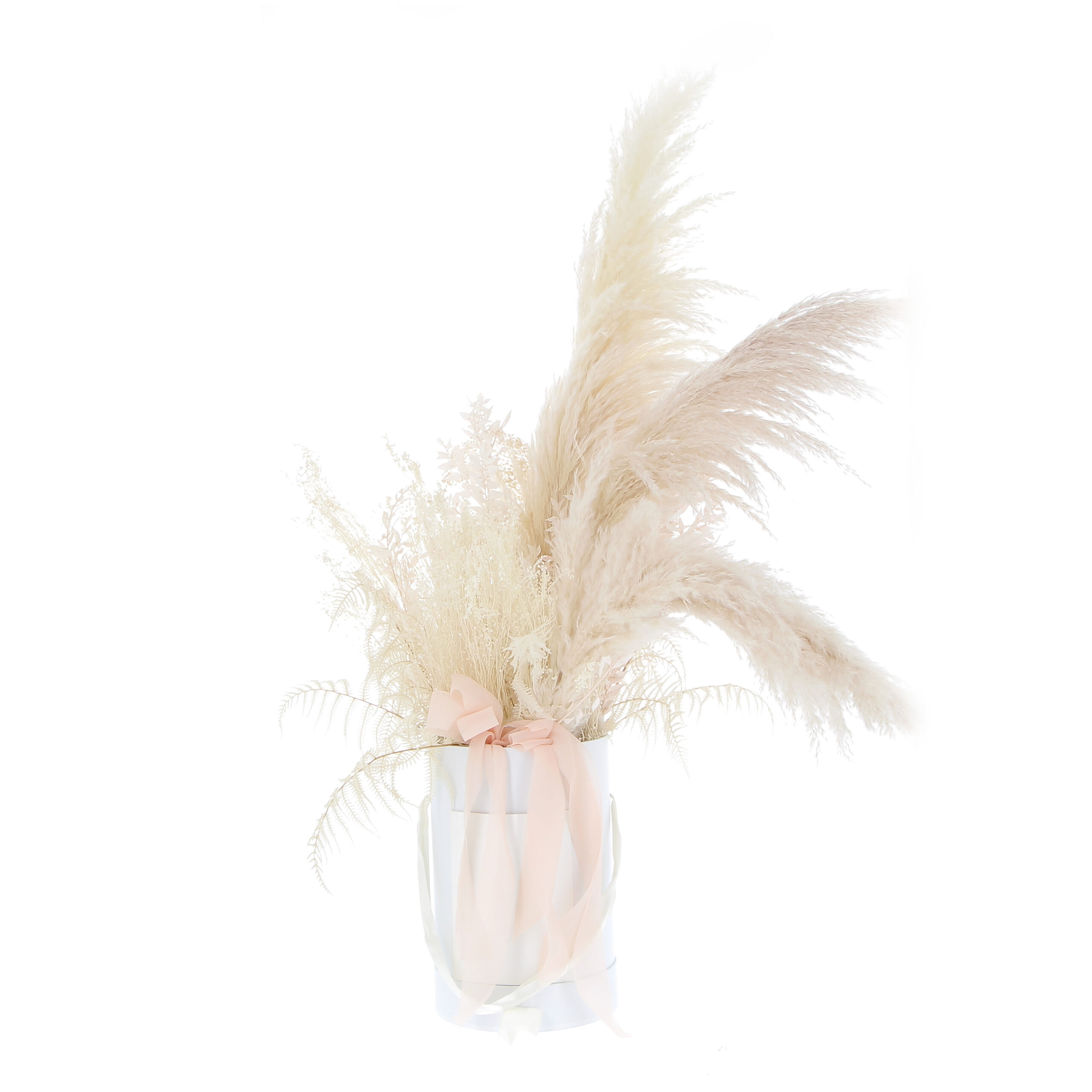 PTG-CappellieraDelicata-frontale-bianco