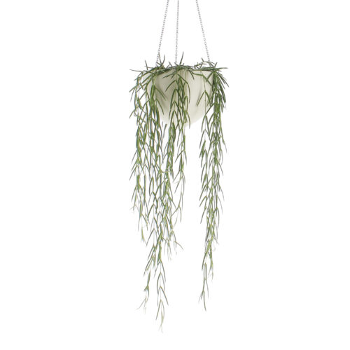 Hoya vaso in ceramica Creme