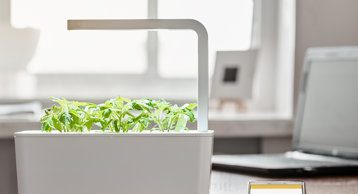 smart garden kentis