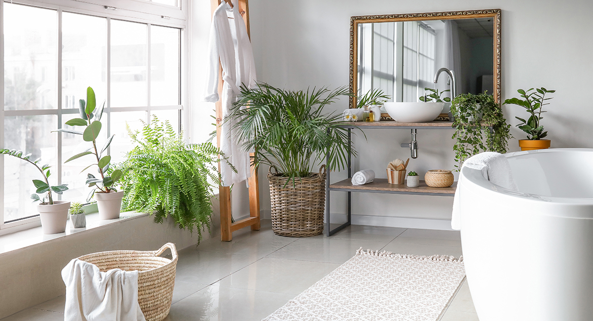 bagno kentis