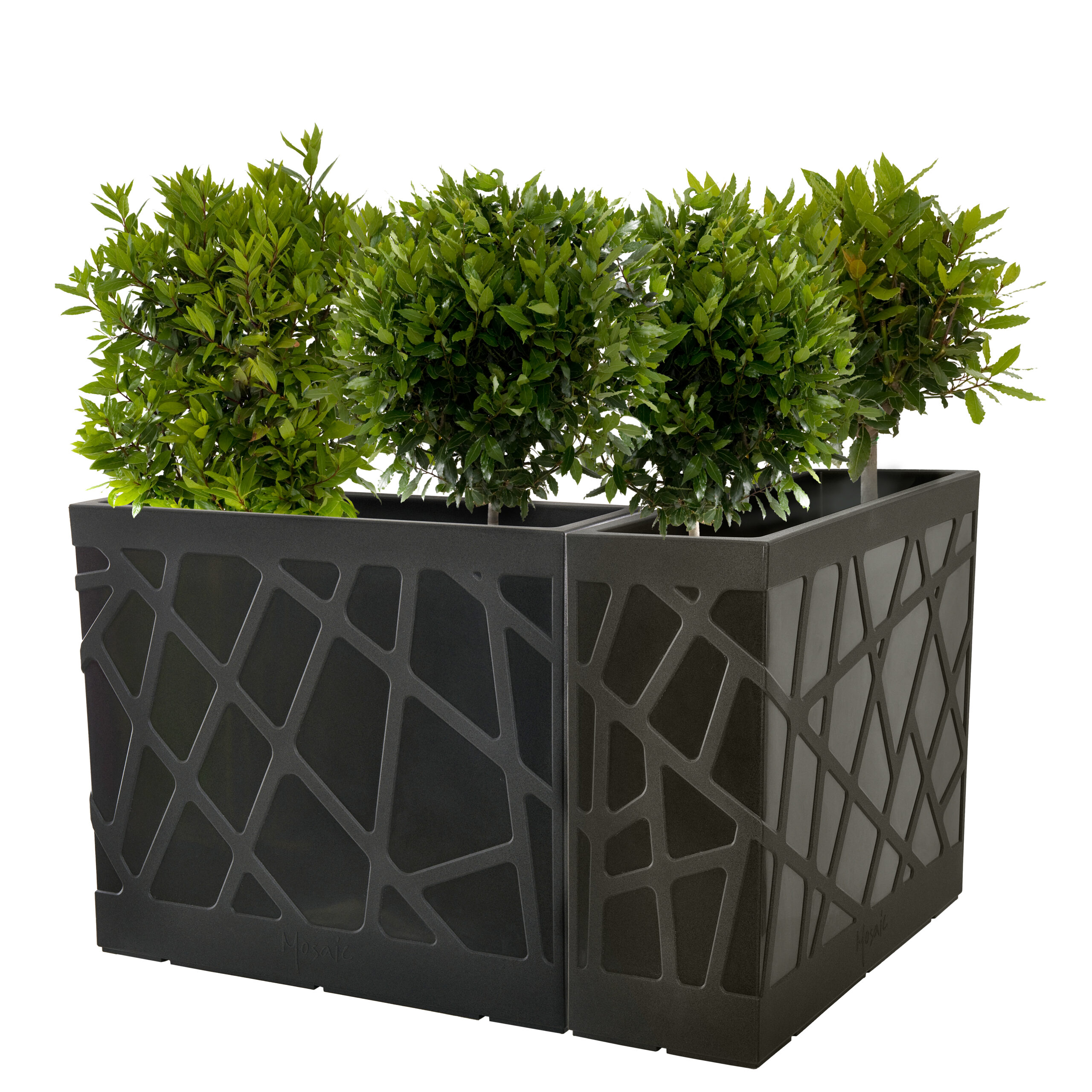 Mosaic Flowerbox High_ 500_ (4)