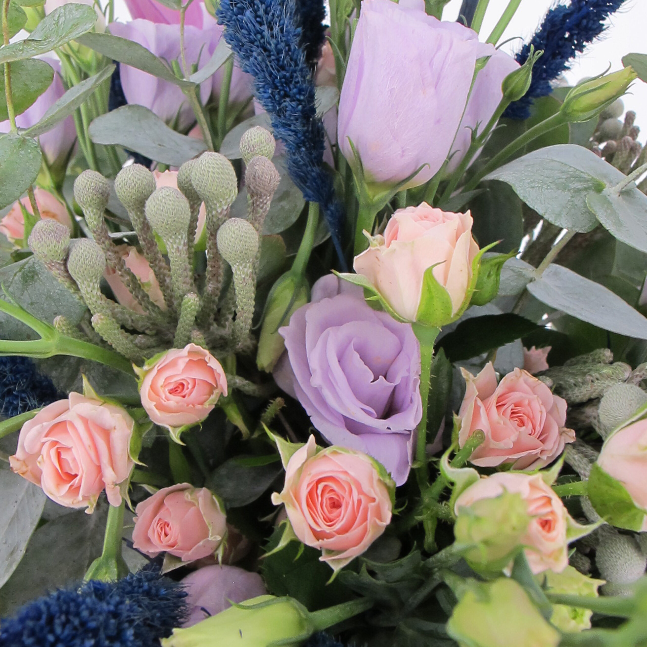 PTG-Bouquet-F-Brunia-Anthuriumviola-Rosegrappolo-0001_0001_Livello 4
