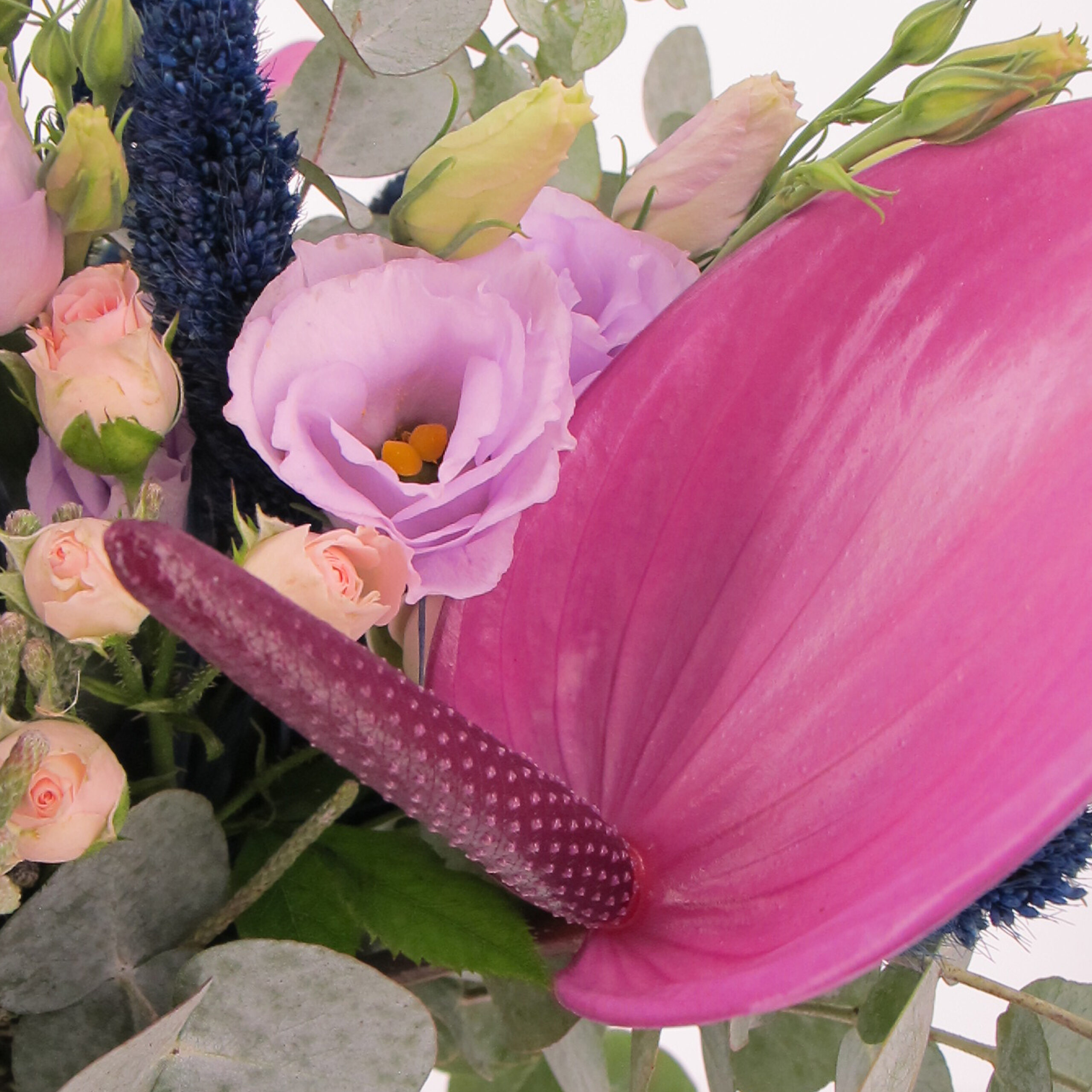 PTG-Bouquet-F-Brunia-Anthuriumviola-Rosegrappolo-0001_0002_Livello 3