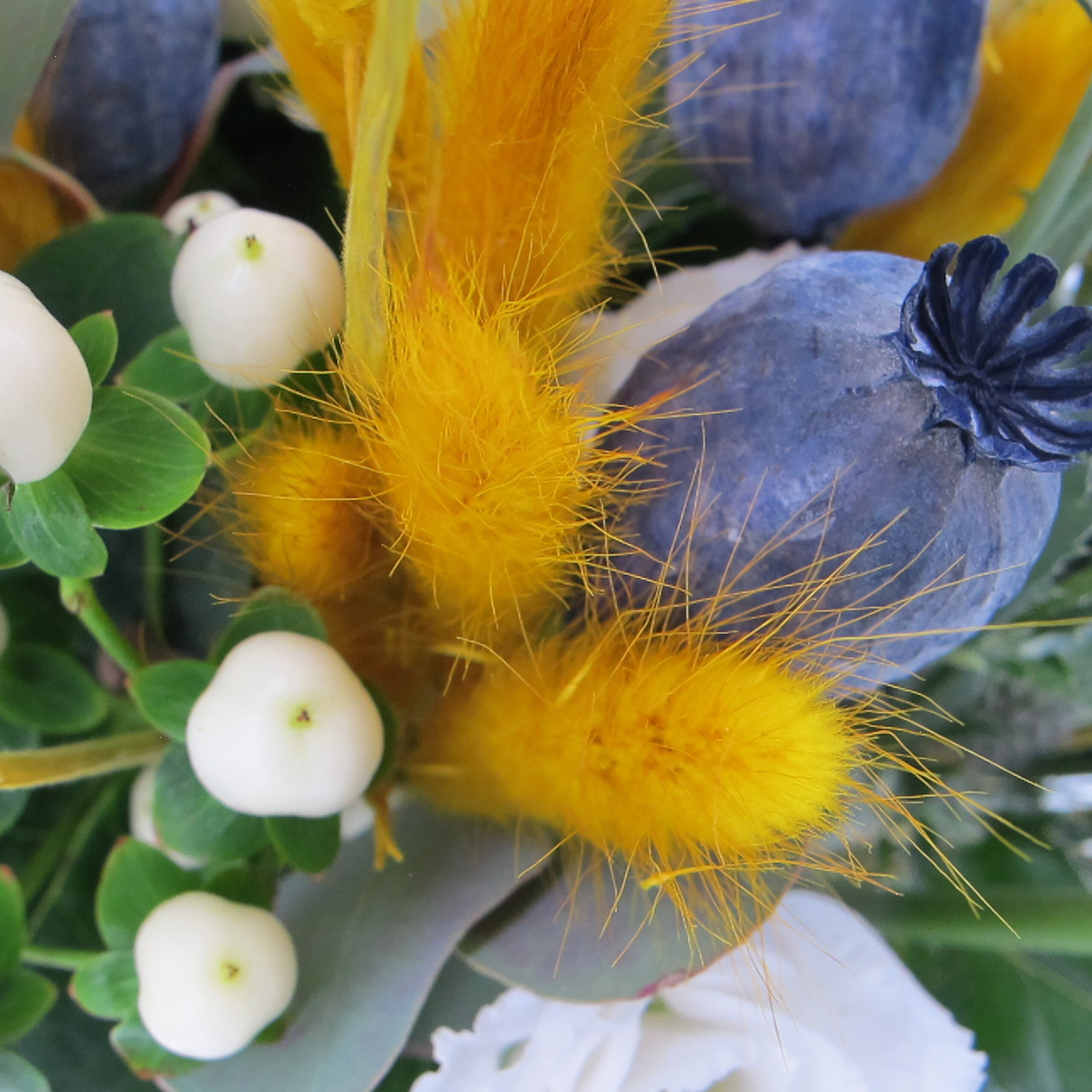 PTG-Bouquet-I-Laugurusgiallo-Papaveriblu-Roseequador-0004_0001_Livello 4
