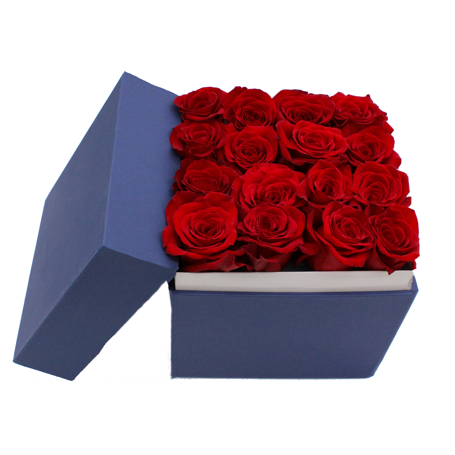 Scatola blu 16 rose rosse (1)