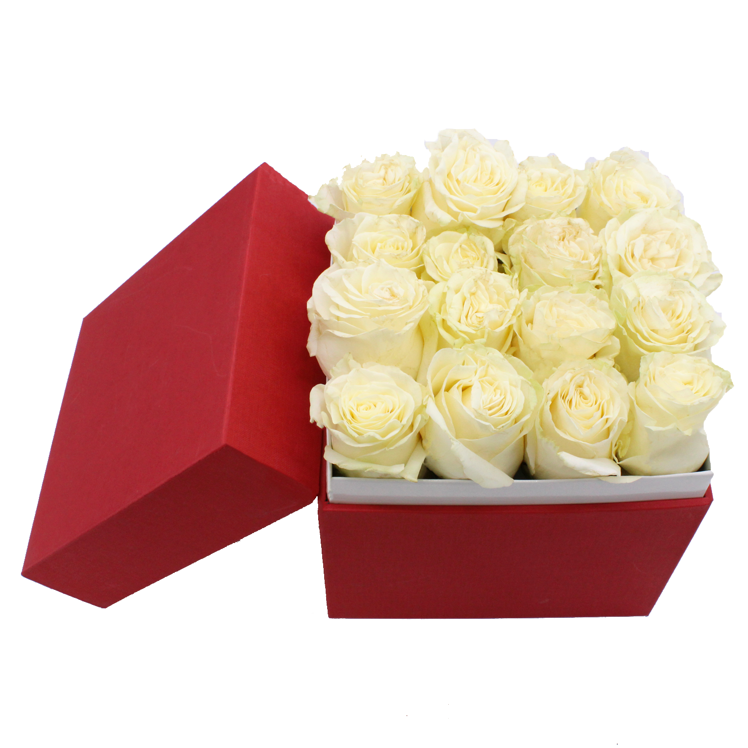Scatola rossa 16 rose bianche (1)