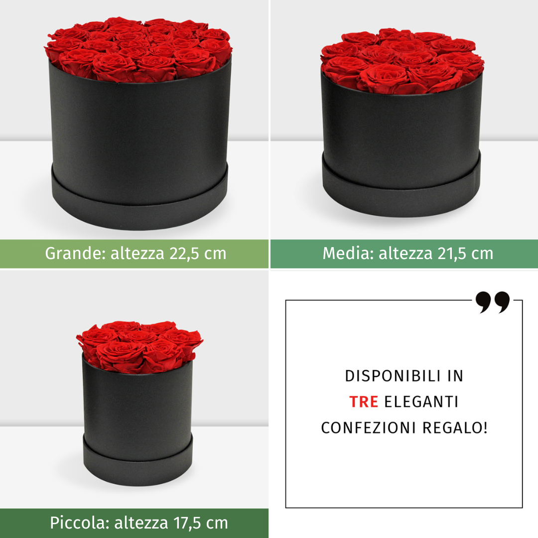 Grande altezza