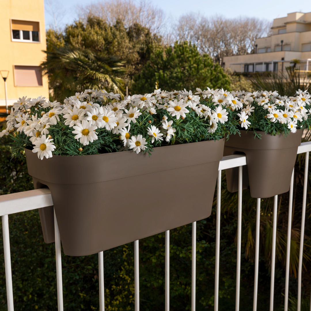 Progetto senza titolo (12)