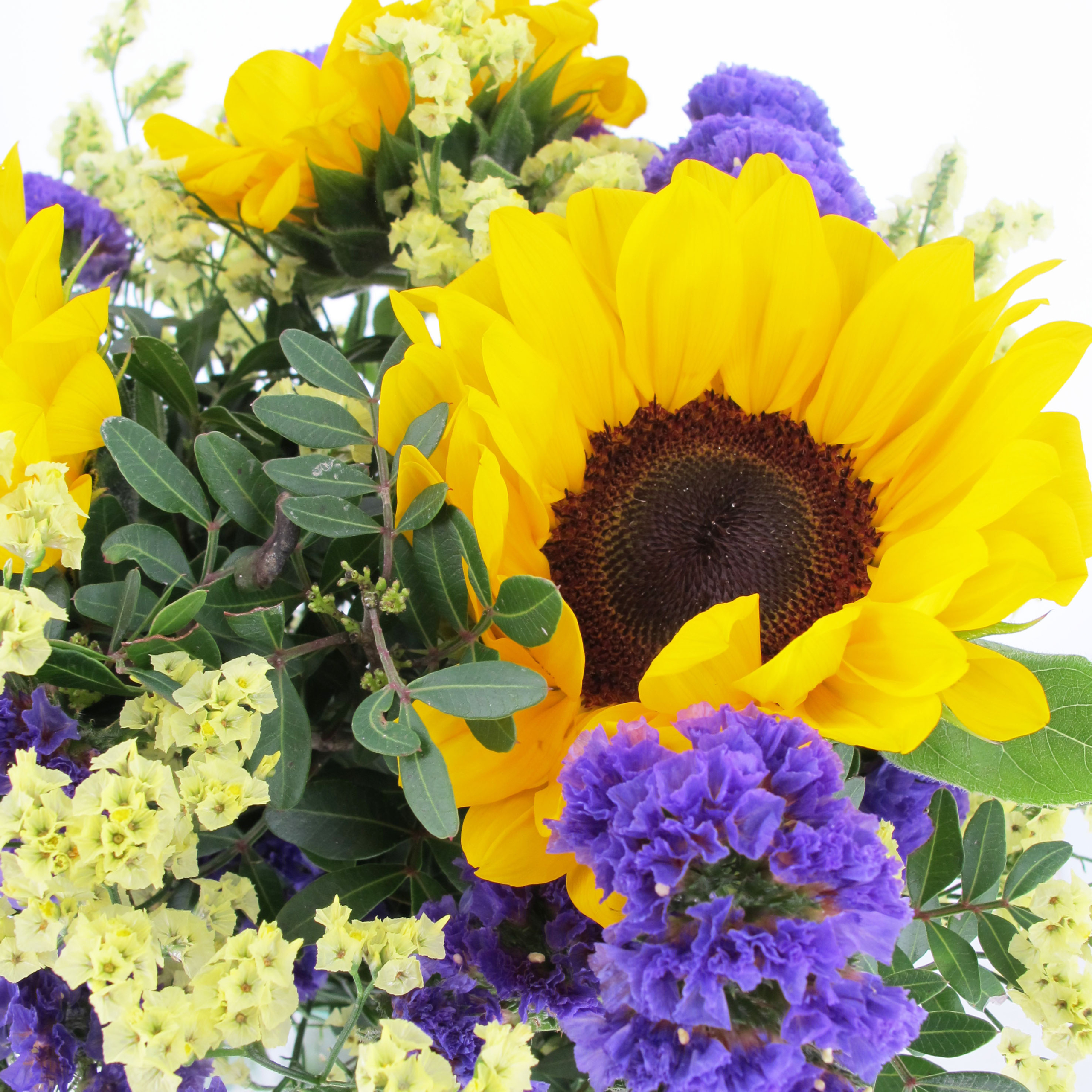 PTG-Bouquet-Estate1_part1