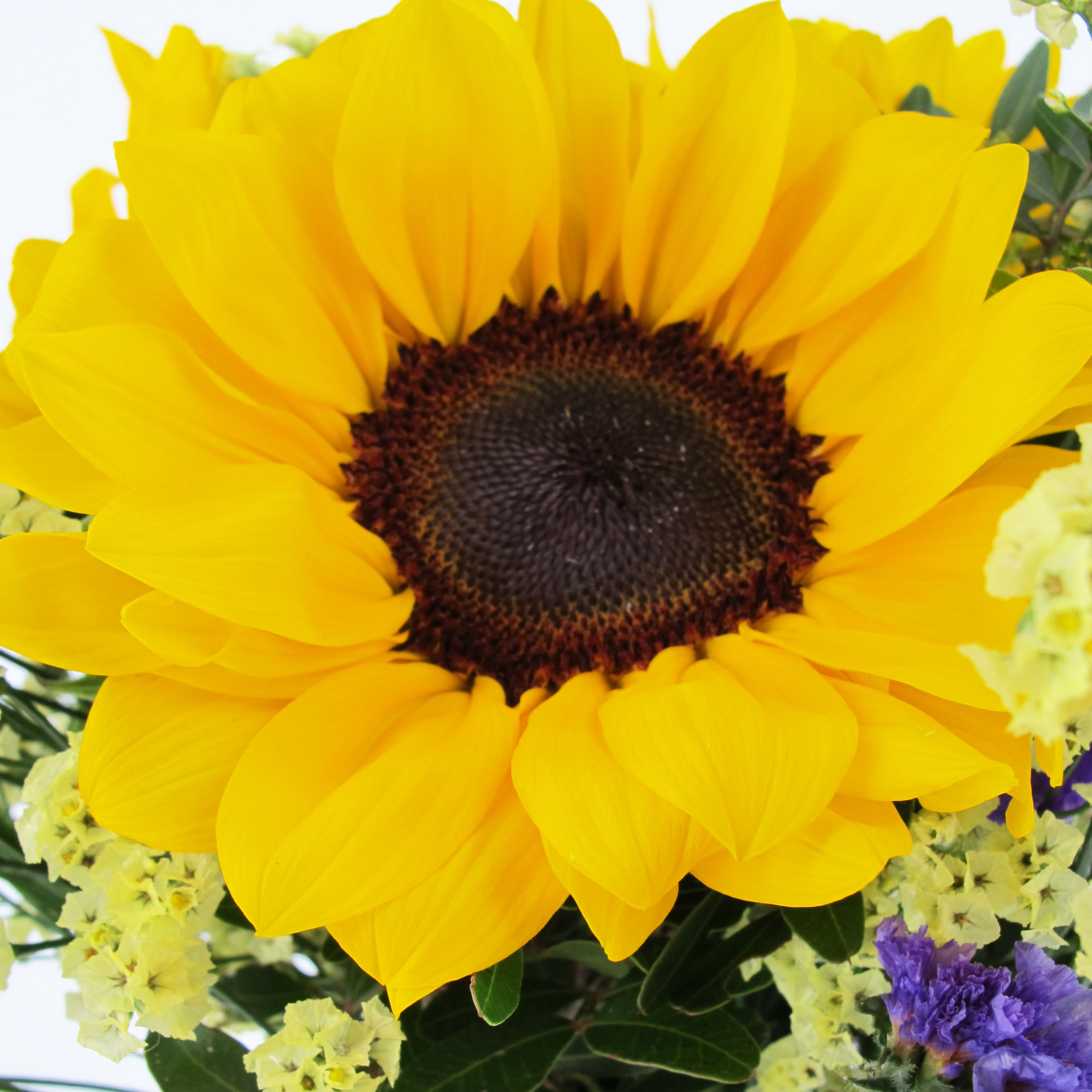 PTG-Bouquet-Estate1_part2