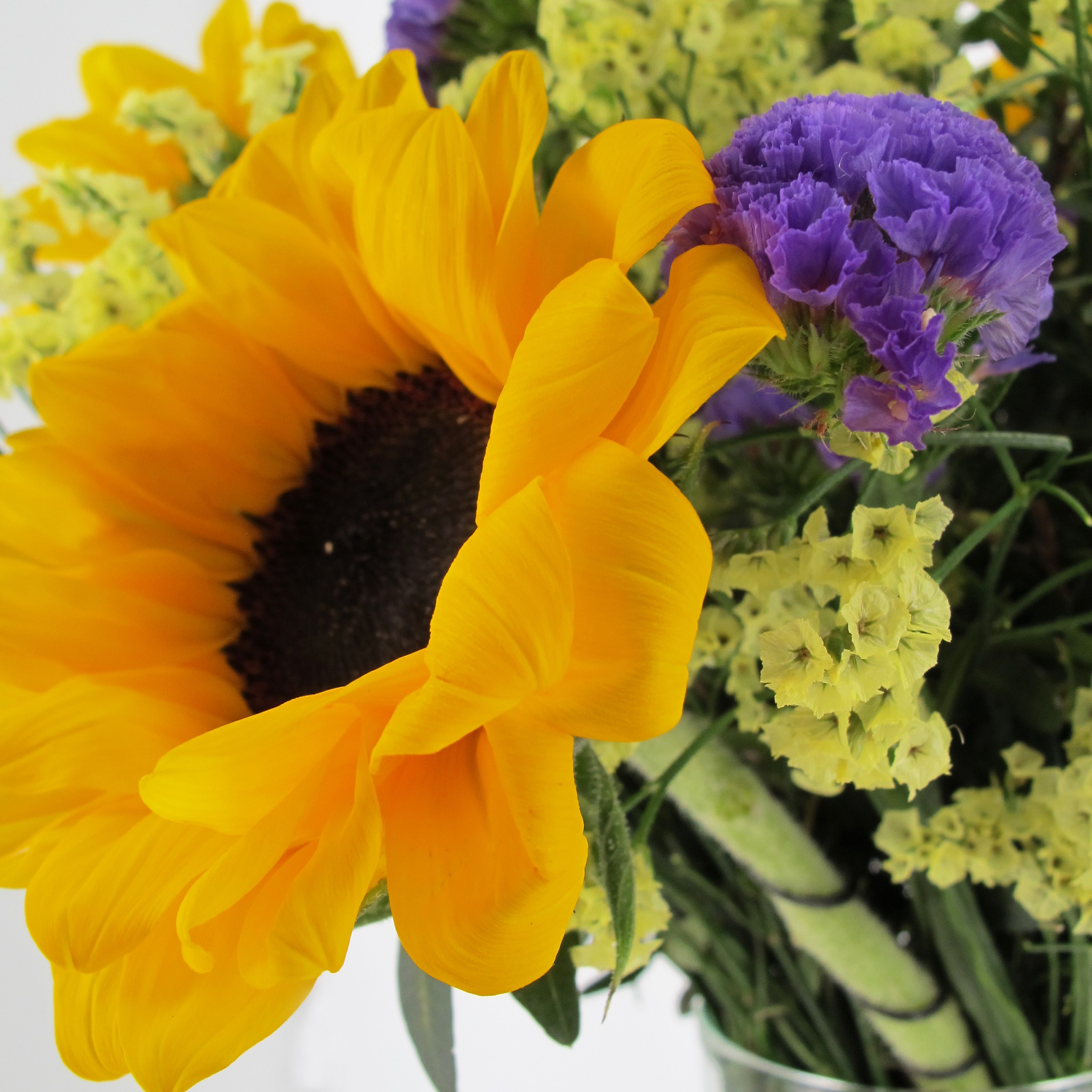 PTG-Bouquet-Estate2_0001_Livello 6