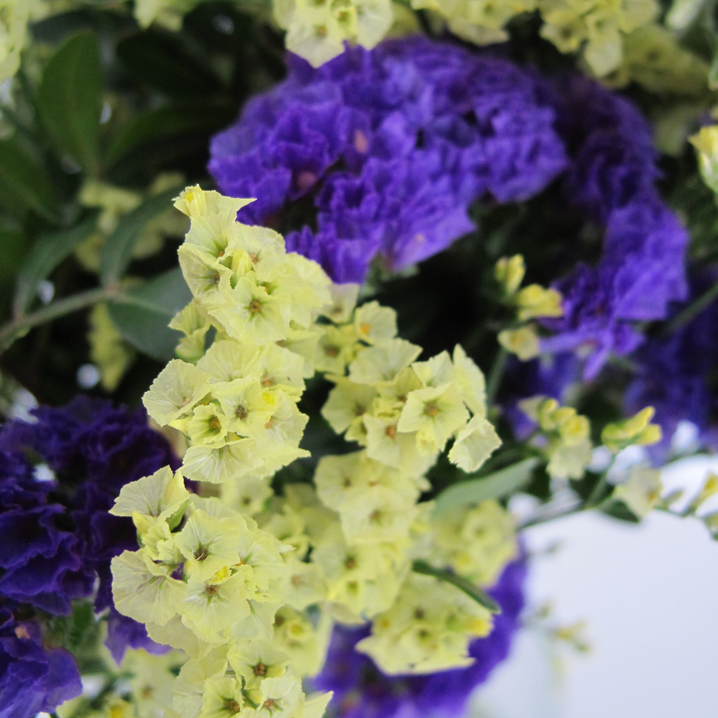 PTG-Bouquet-Estate2_0002_Livello 5