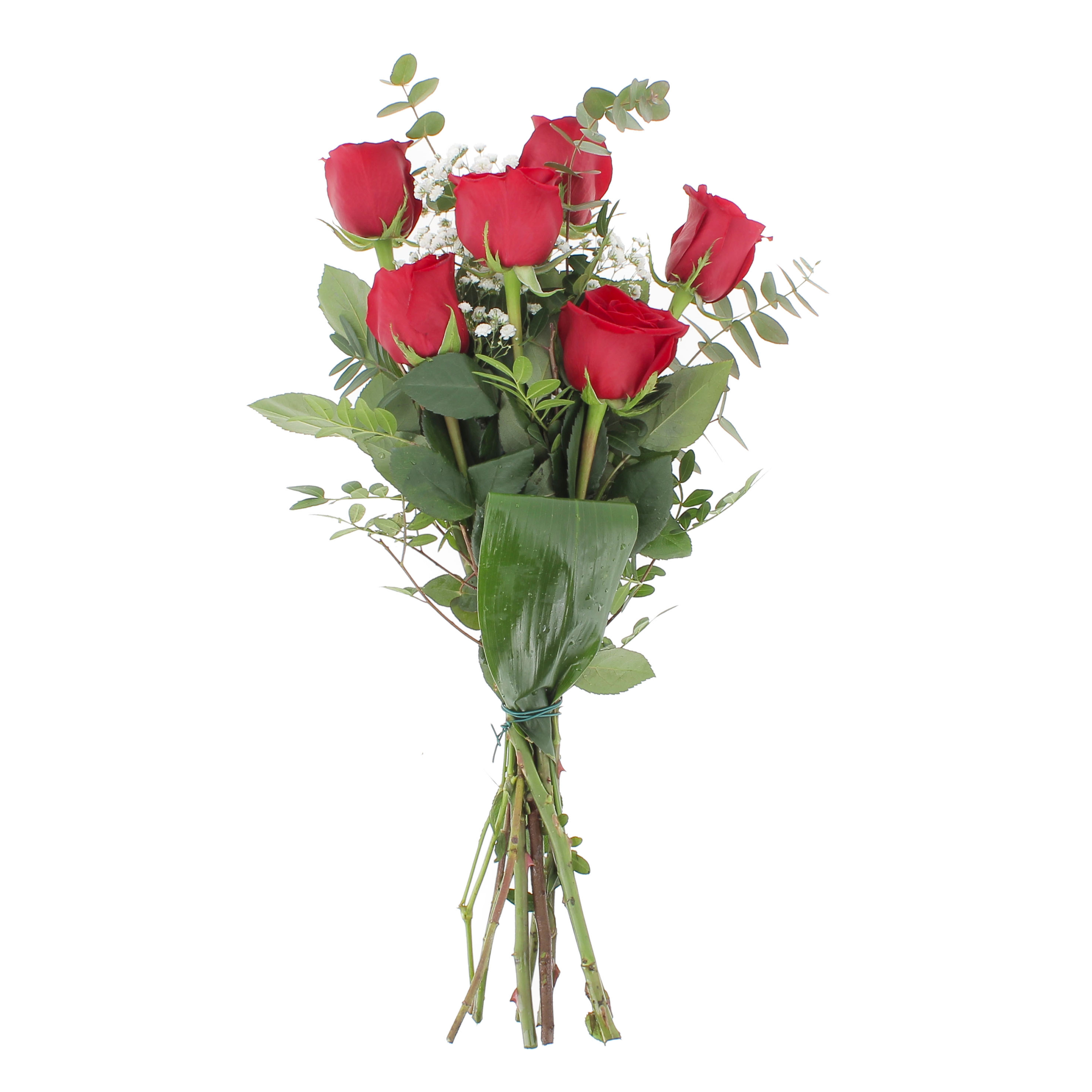 PTG-6-rose-rosse_frontale