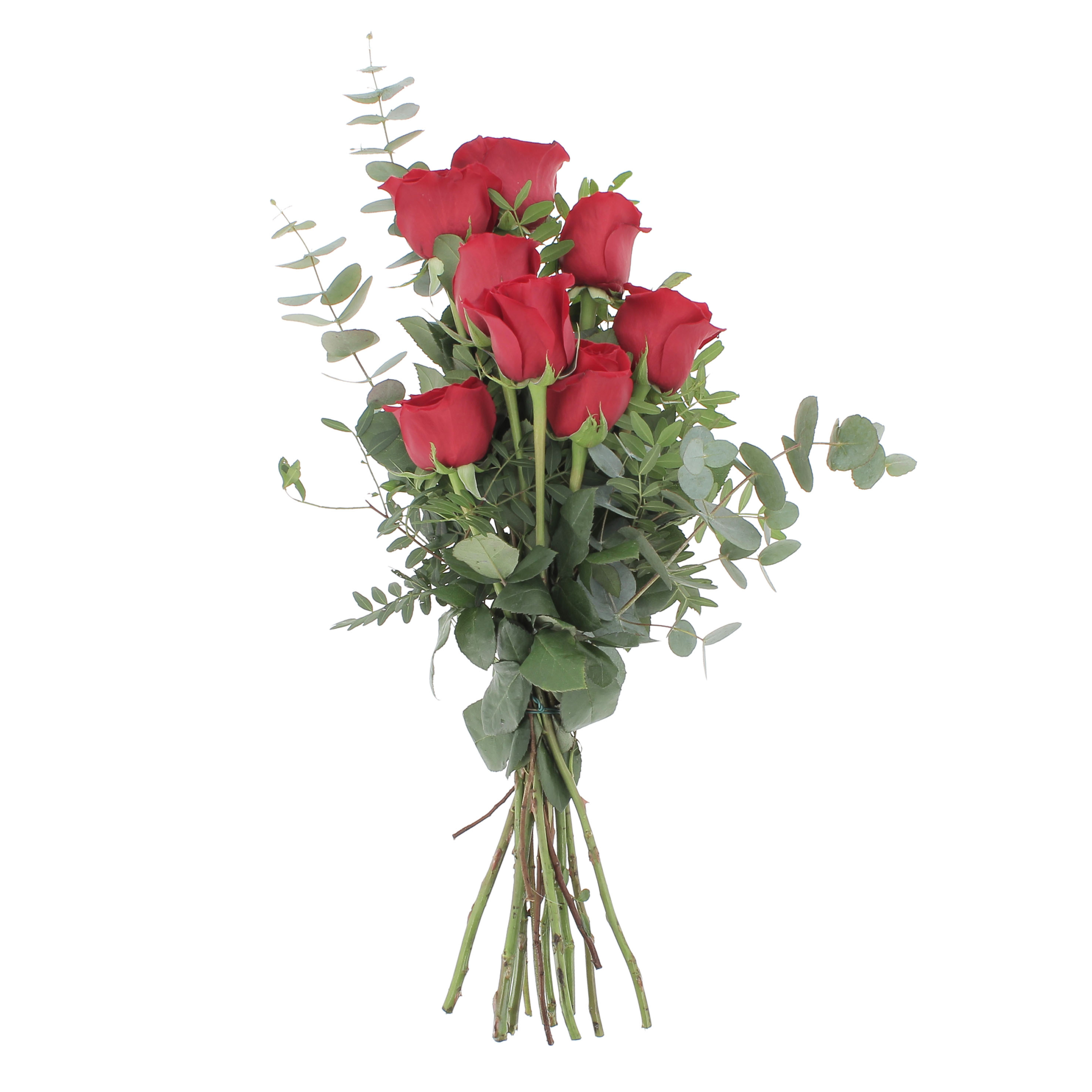 PTG-8-rose-rosse_frontale